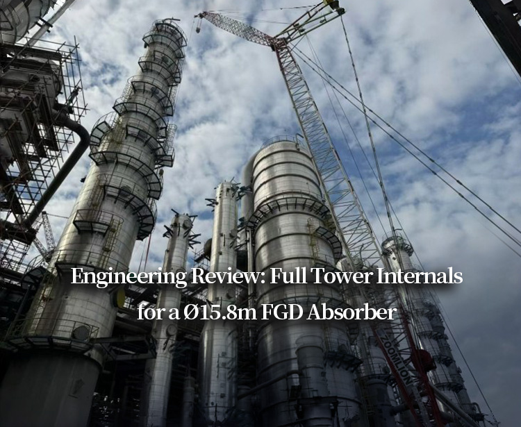 Revisión de ingeniería: Componentes internos completos de la torre para un absorbedor FGD de Ø15,8 m